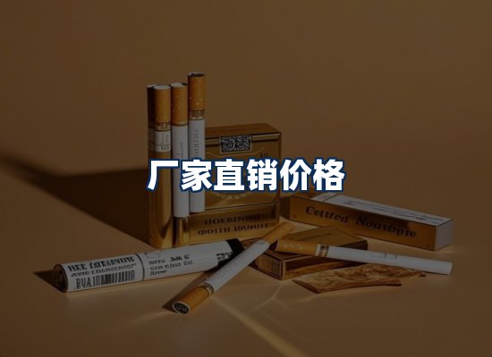 专业团队办公环境